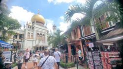 Kampong Glam Conservation Area (D7), Shop House #458160941